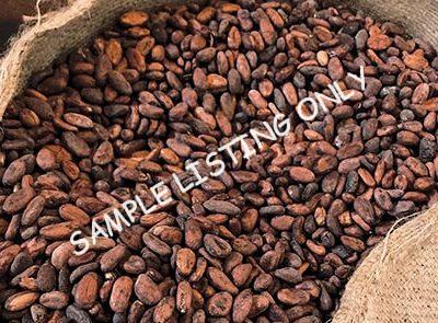 Senegal Cocoa Beans