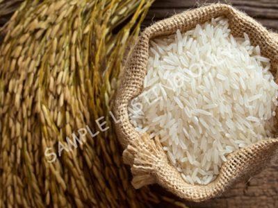 Fluffy Senegal Rice