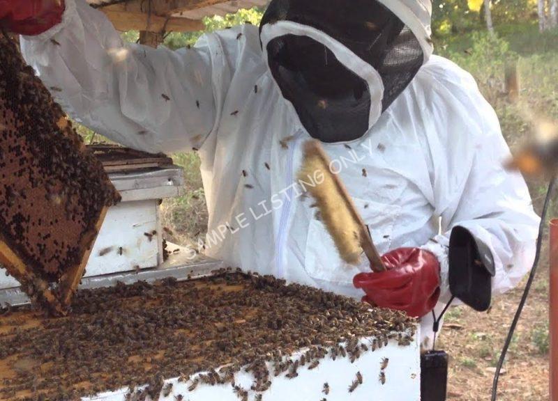 Sweet Senegal Honey